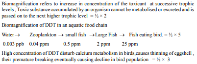 Describe the DDT biomagnification occurring in an aquatic food chain. State the